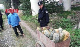 潜山吃瓜最新事件爆料是真的吗,最新爆料真相揭秘